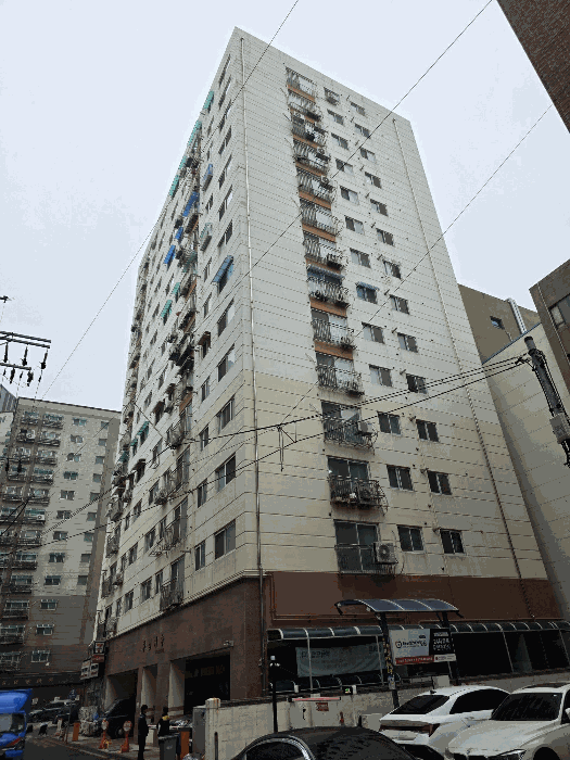 사진 8