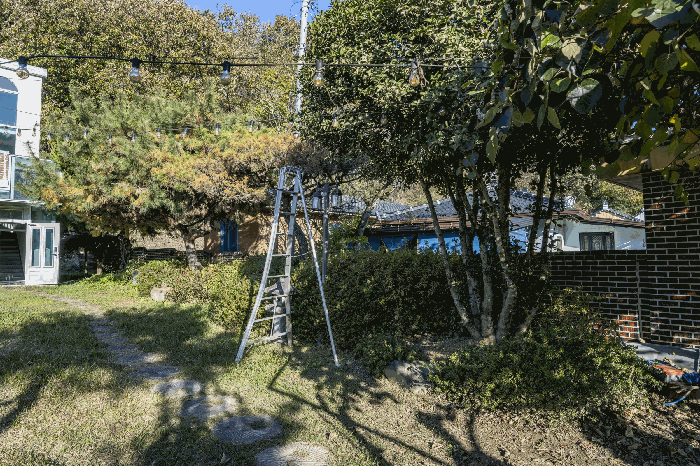 사진 19
