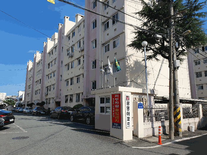 사진 5