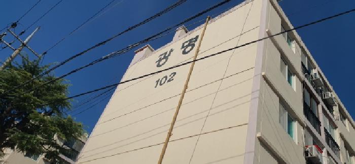 사진 8
