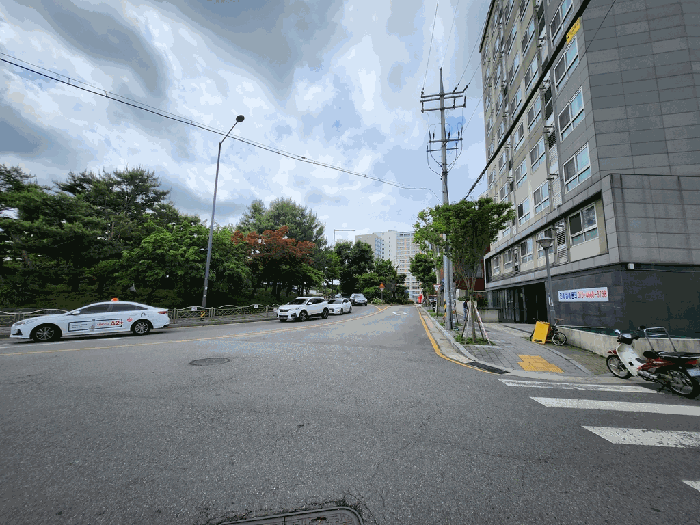 사진 11