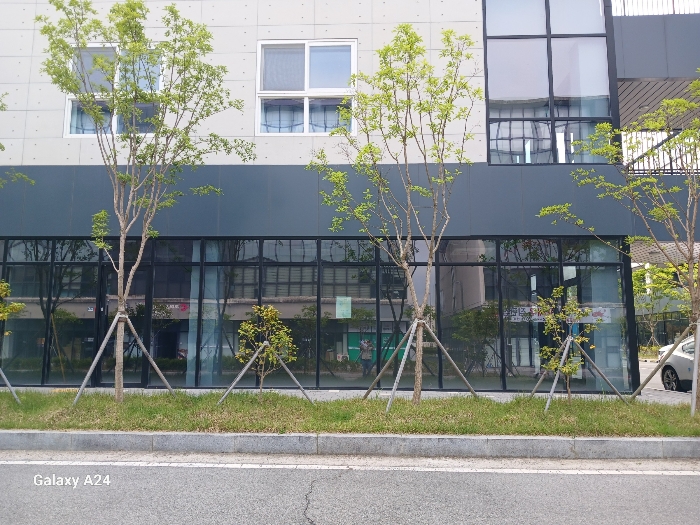 사진 3