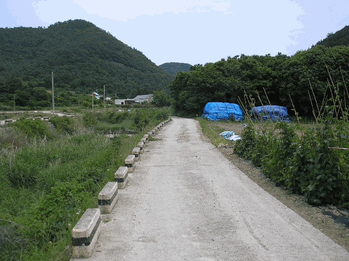 사진 1