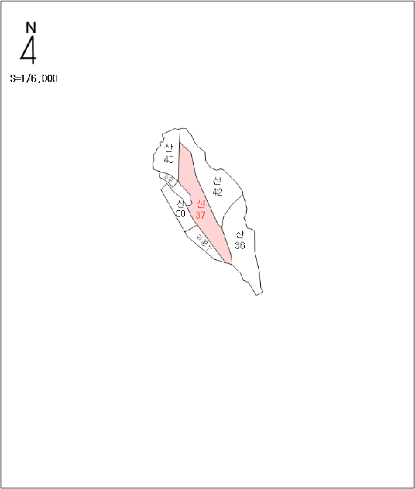 사진 10