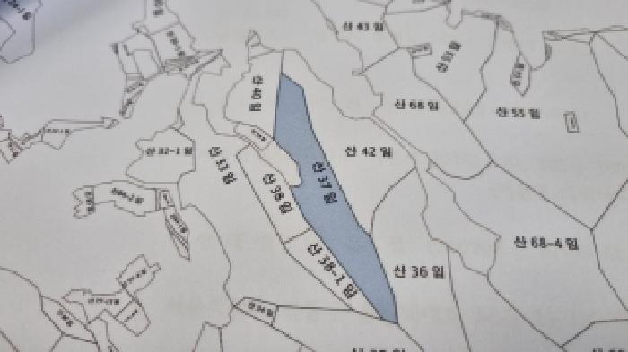 사진 5