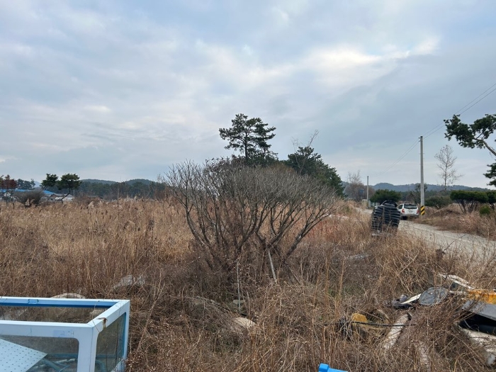 사진 35
