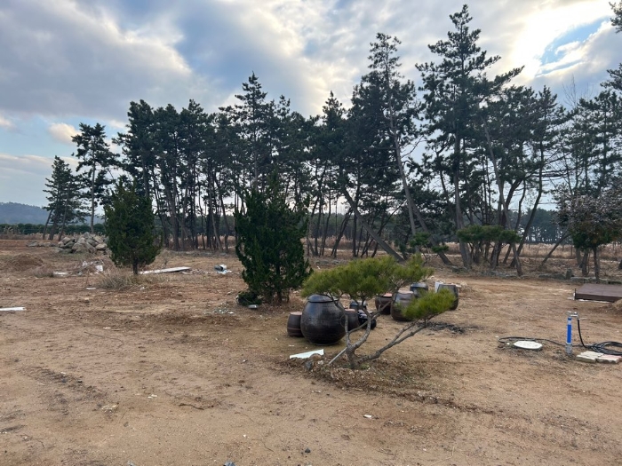사진 36