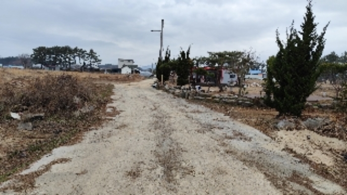 사진 7