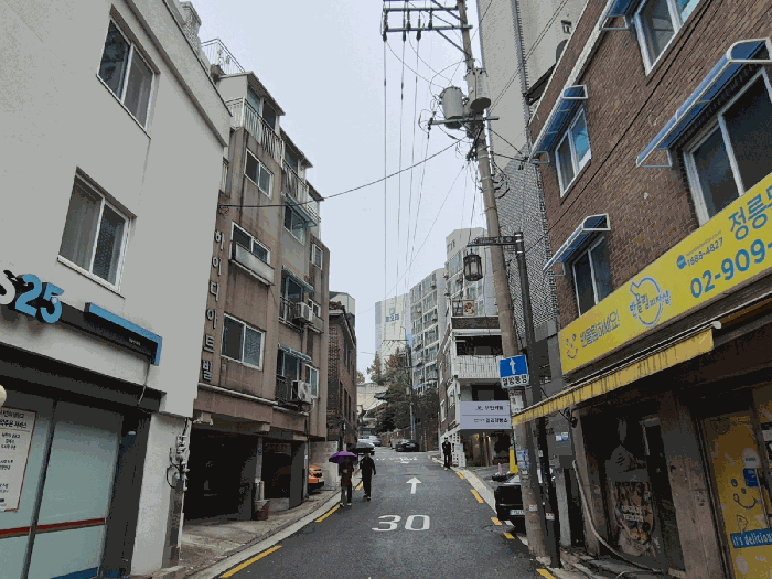 사진 11
