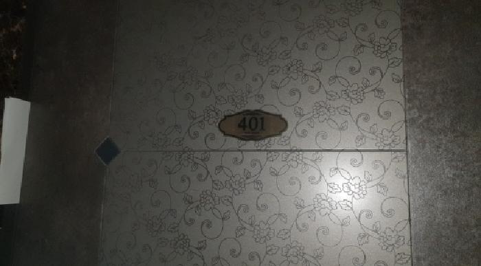 사진 15