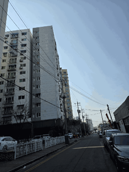 사진 11