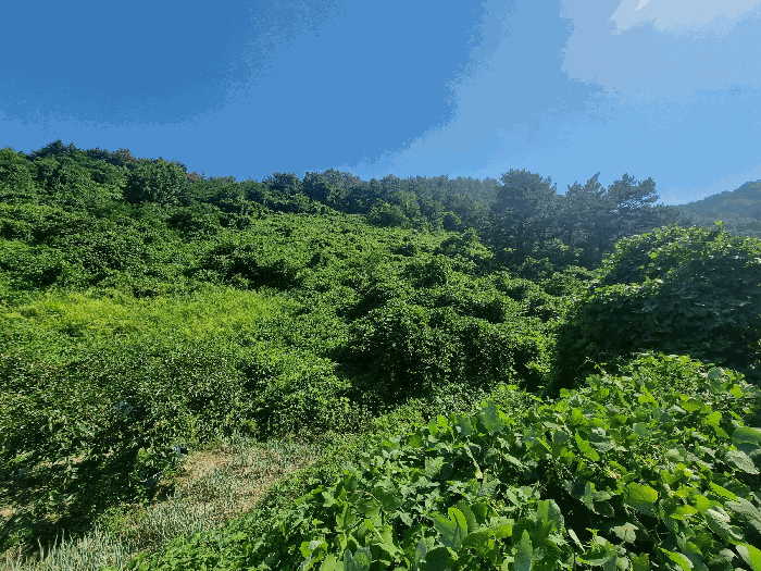 사진 10