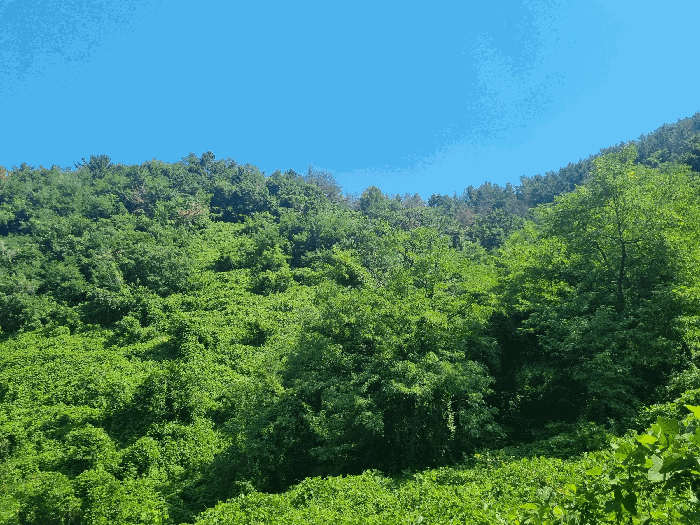 사진 13