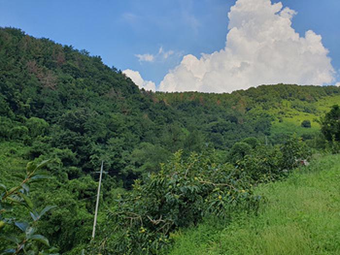 사진 15
