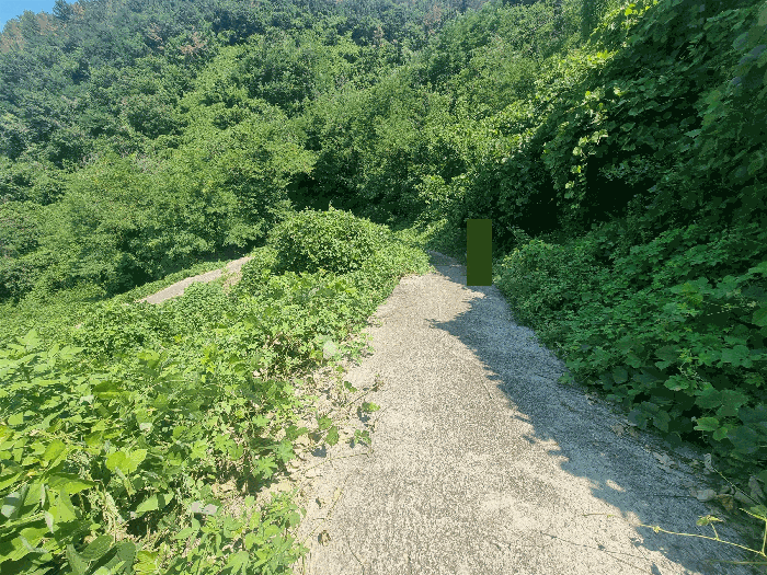 사진 9