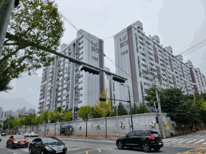 사진 7