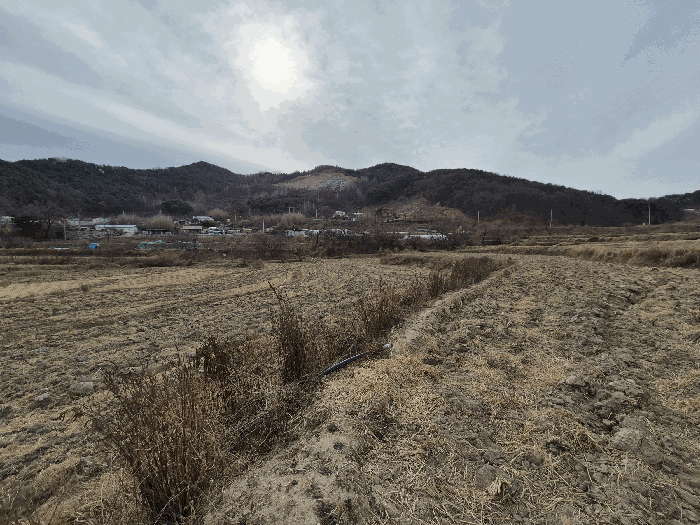 사진 5