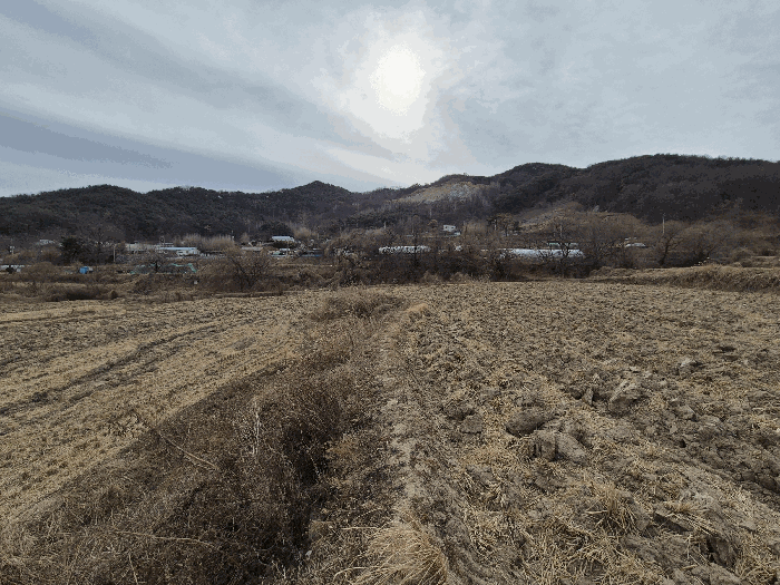 사진 6
