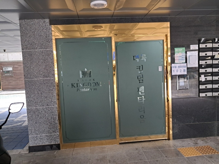 사진 10