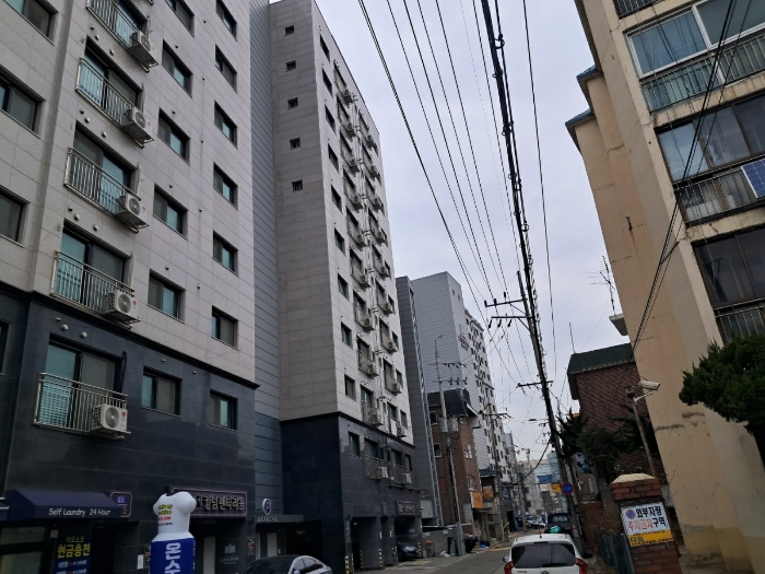 사진 9