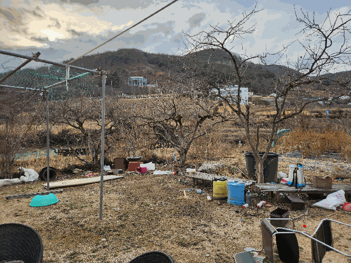 사진 13