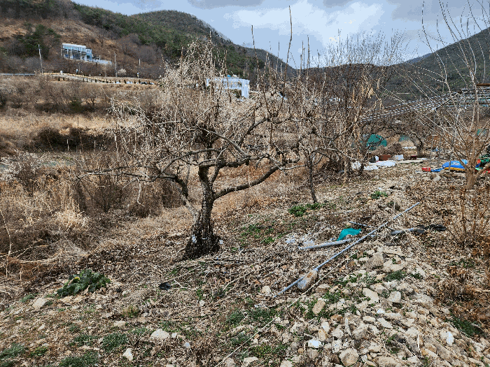 사진 15