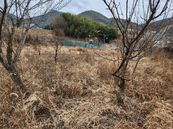 사진 17