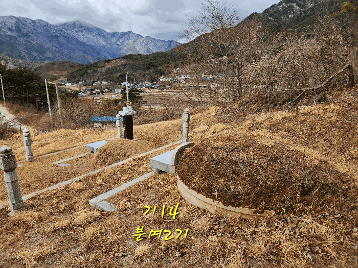 사진 17