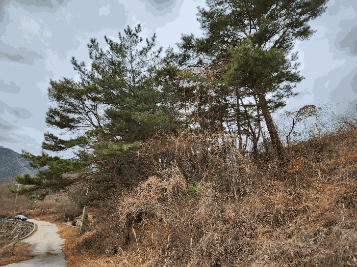 사진 23