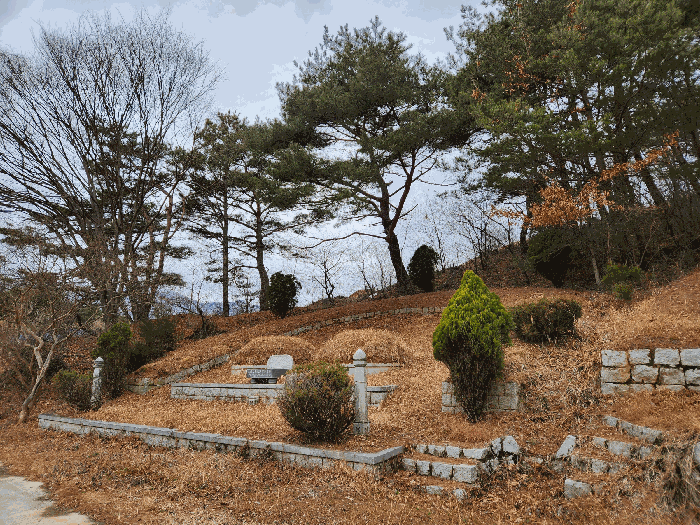 사진 27