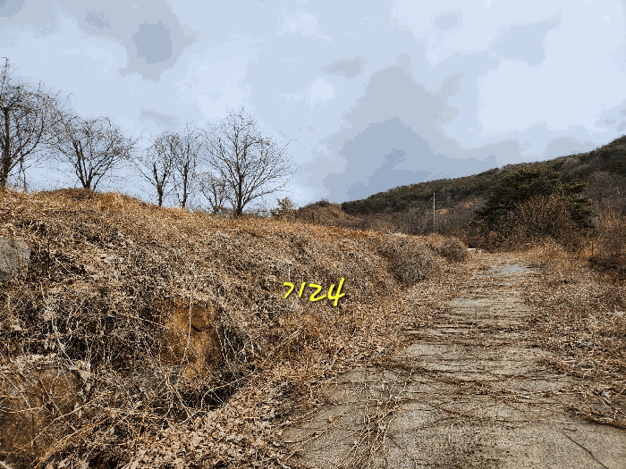 사진 31