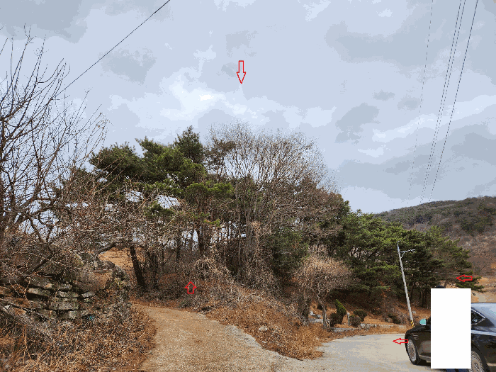 사진 35