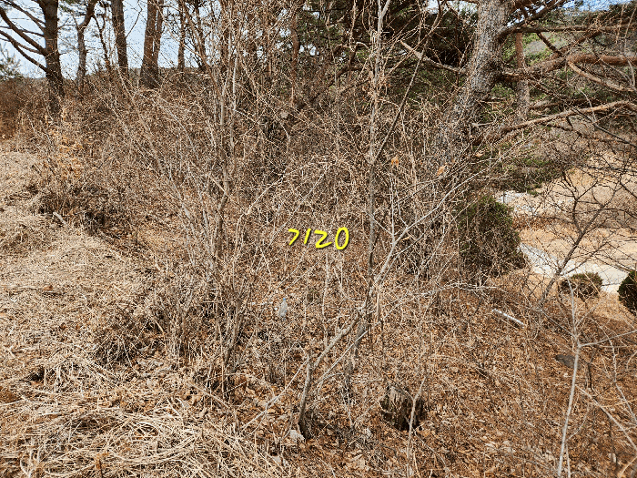 사진 38