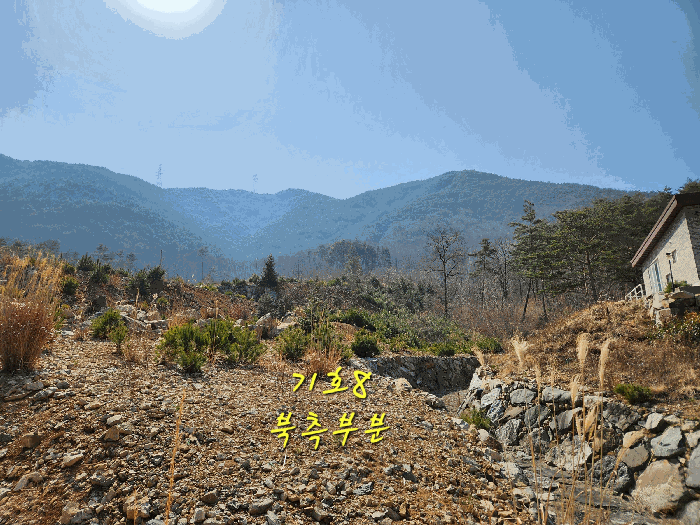 사진 41