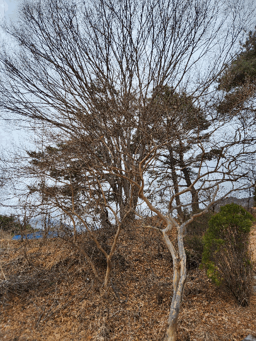 사진 42