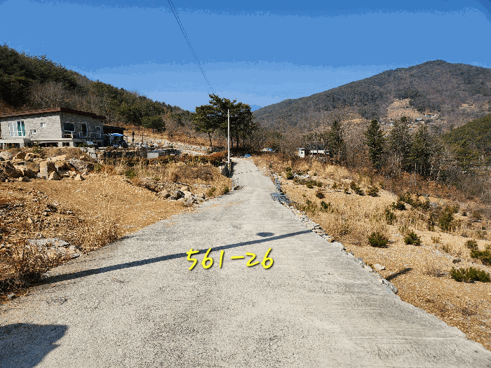 사진 47