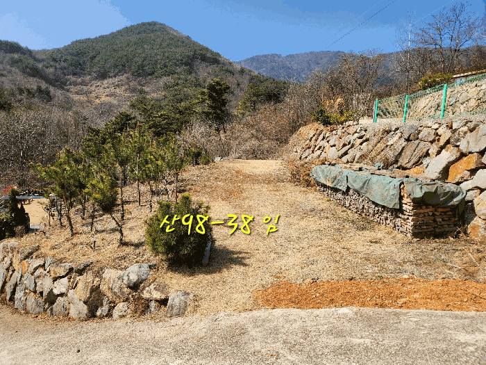 사진 50