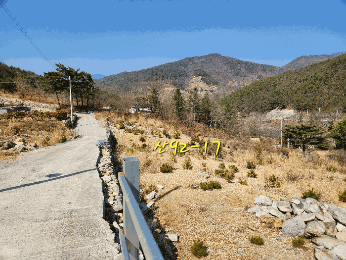 사진 51