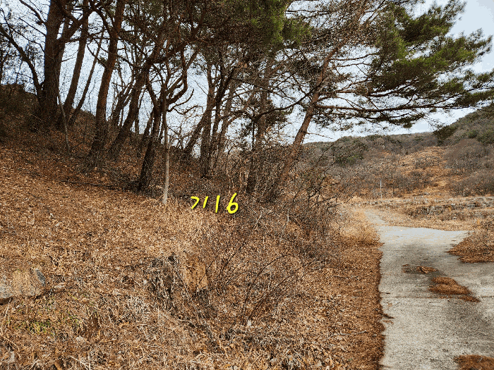 사진 54
