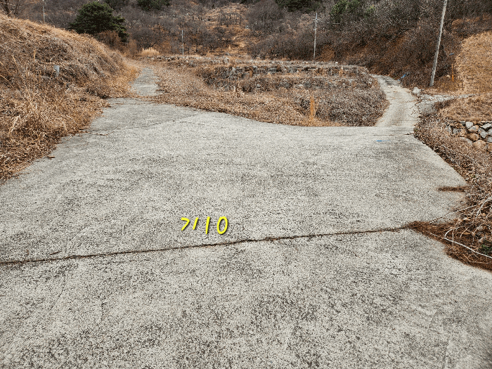 사진 56
