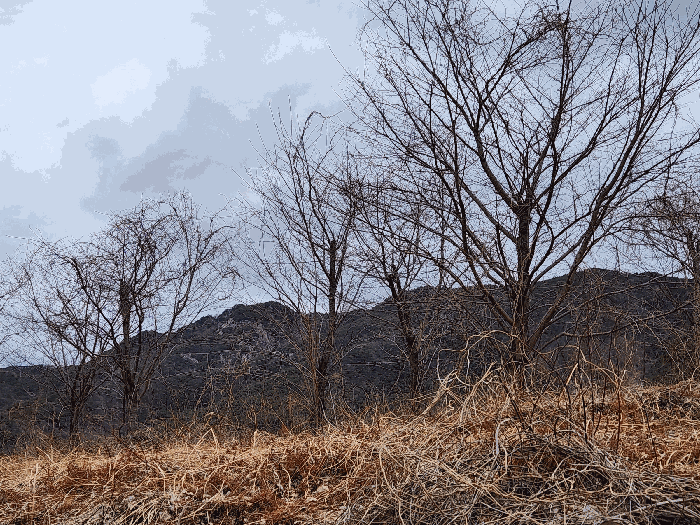 사진 6