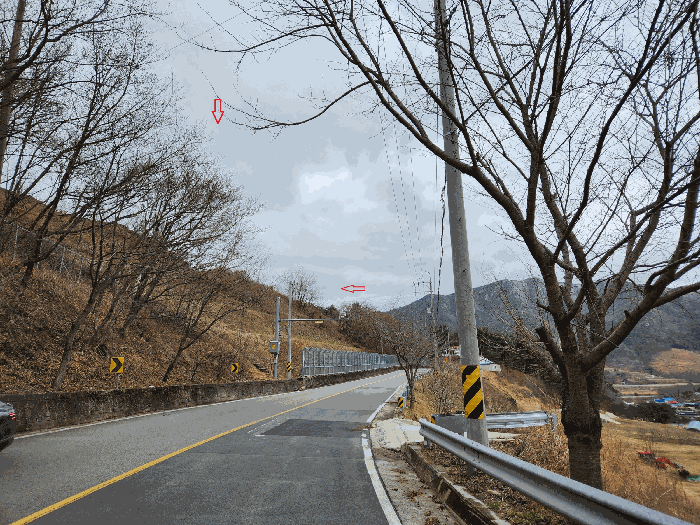 사진 61
