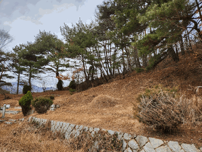 사진 62