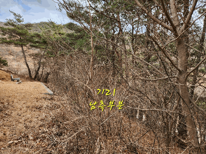 사진 64