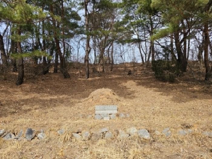 사진 67
