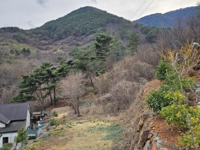 사진 77