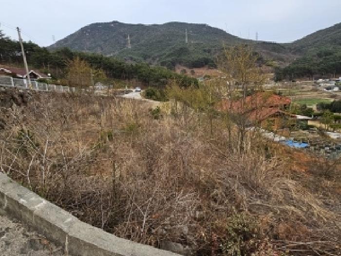 사진 79