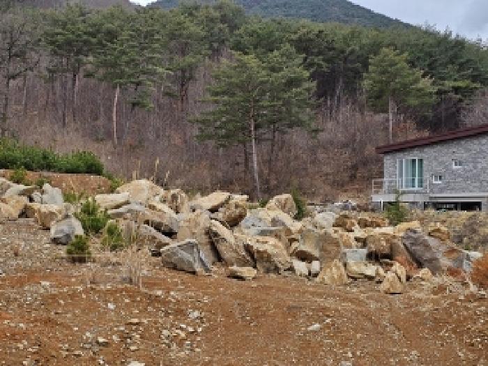 사진 84