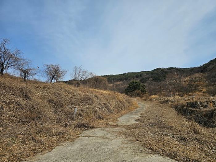 사진 87