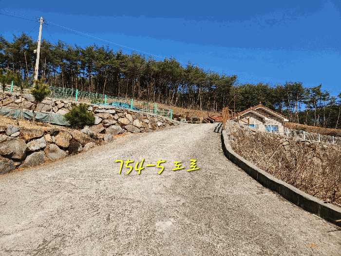 사진 9
